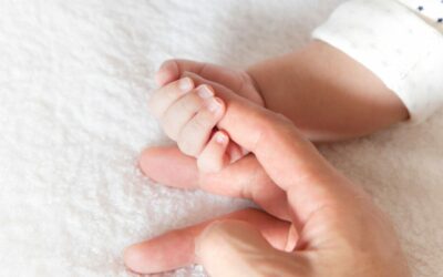 PERMISOS DE MATERNITAT I PATERNITAT – NOVETATS