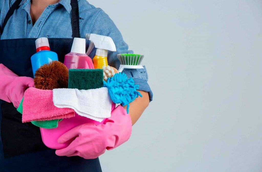 NOVA NORMATIVA EMPLEATS DE LA LLAR FAMILIAR